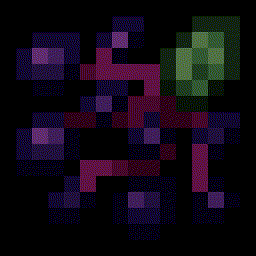 Elderberry