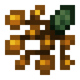 Golden Elderberry