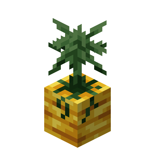 Giant golden parsnip