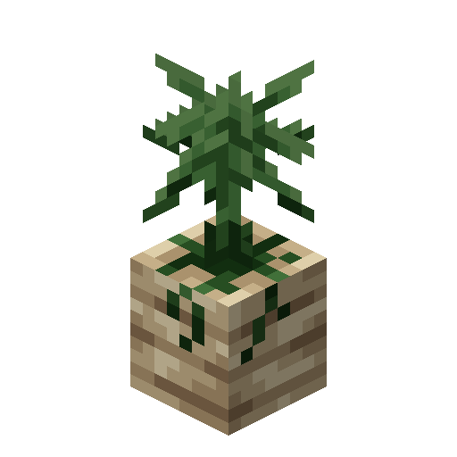 Giant Parsnip