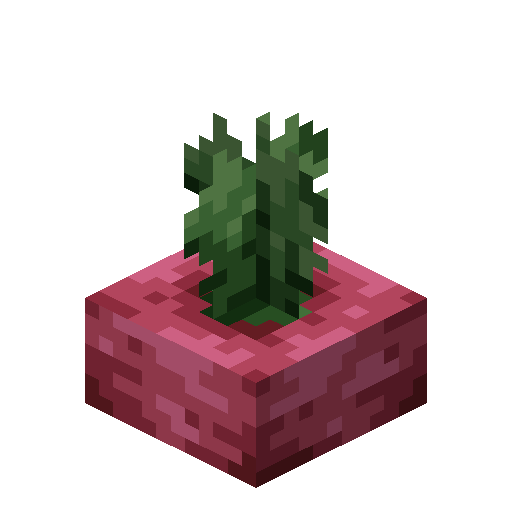 Giant Radish